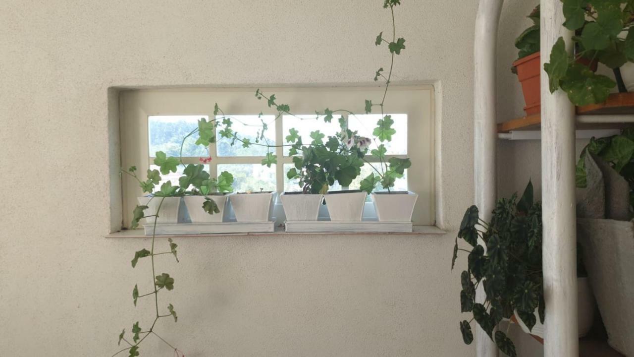Ferienwohnung La Curtea Argeseana Valea Iasului Exterior foto