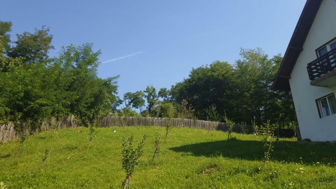 Ferienwohnung La Curtea Argeseana Valea Iasului Exterior foto