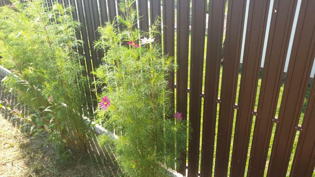 Ferienwohnung La Curtea Argeseana Valea Iasului Exterior foto